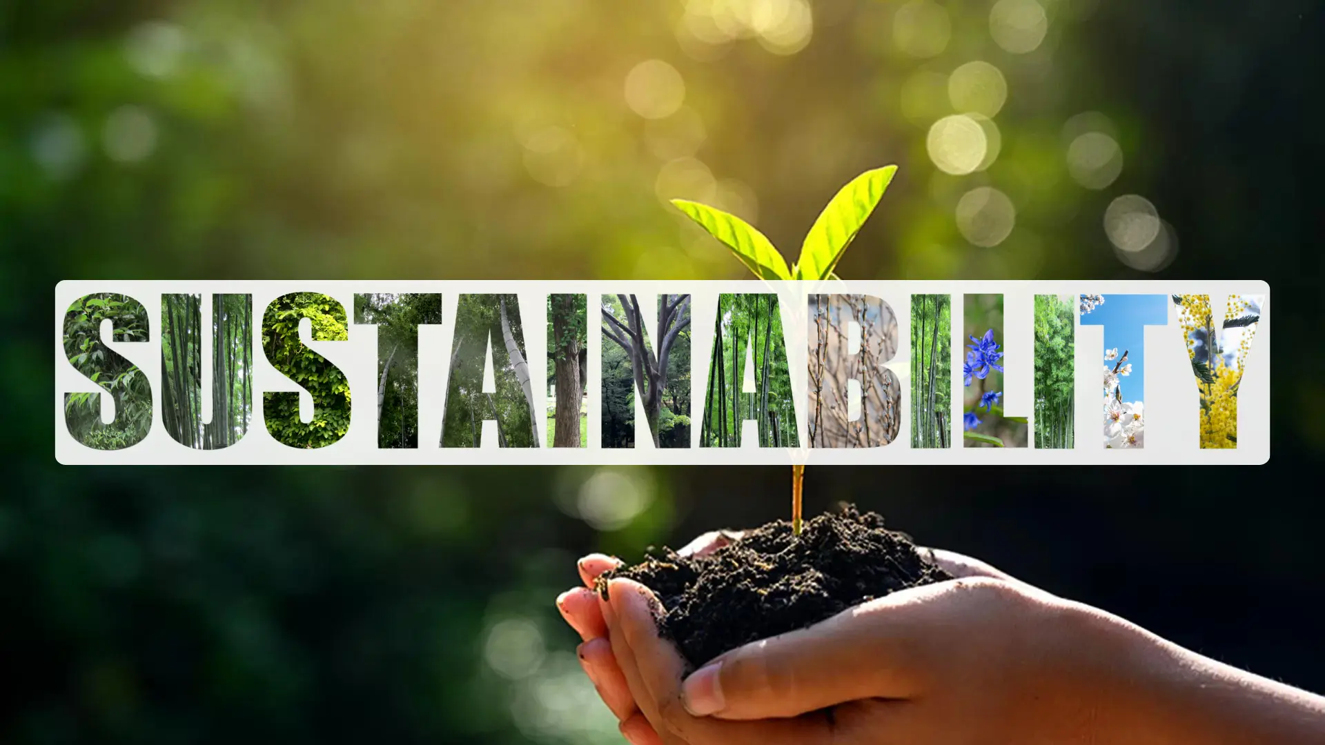 Integrating Sustainability